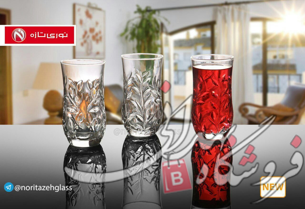 IMG_20241006_084404_680