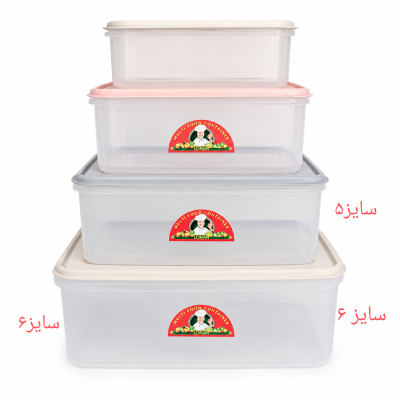 ظرف فریزری اسپت سایز6