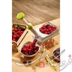 هسته گیر گیلاس و آلبالو